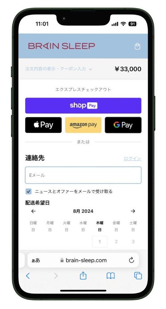ブレインスリープ ピローの配送情報入力画面1
